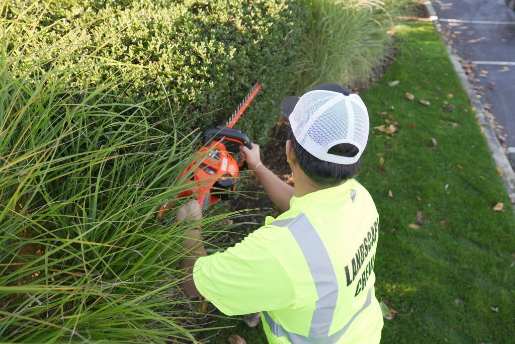 Exterior Property Maintenance
